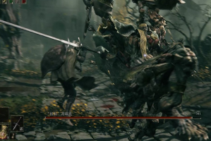 艾尔登法环剑士怎么玩(艾尔登法环 剑风)
