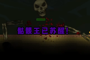 泰拉瑞亚骷髅王用什么打(泰拉瑞亚骷髅王掉落物品一览)