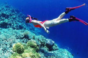 潜水世界手机游戏,深海探险与海洋生物收集指南