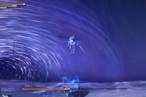 艾尔登法环独狼隐士如何发育(艾尔登法环 nga)
