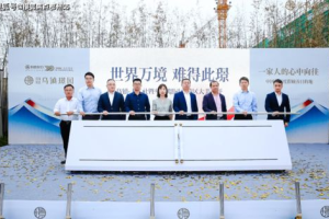 手机模拟器游戏,多平台无缝连接的最佳选择-全面解析与应用指南