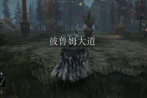 艾尔登法环如何前往彼鲁姆(艾尔登法环如何使用魔法)