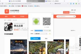手机游戏不同版本,区域定制与功能差异解析