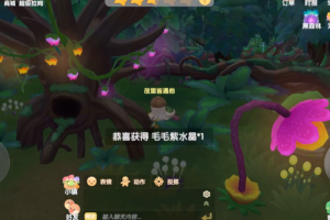 摩尔庄园荆棘丛林怎么采摘(摩尔庄园荆棘丛林湖中央小木屋在哪里)