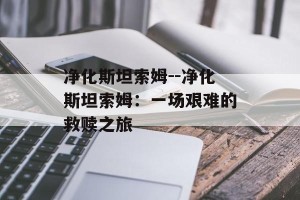 净化斯坦索姆--净化斯坦索姆：一场艰难的救赎之旅