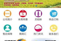 安卓手机单机游戏排行榜,2023年最受欢迎离线游戏精选