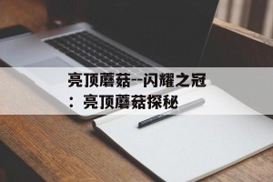 亮顶蘑菇--闪耀之冠：亮顶蘑菇探秘