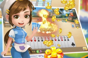 双扣游戏大厅手机版,随时随地畅玩经典棋牌-全面指南