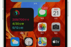 苹果手机能玩什么游戏,全面指南与推荐解析