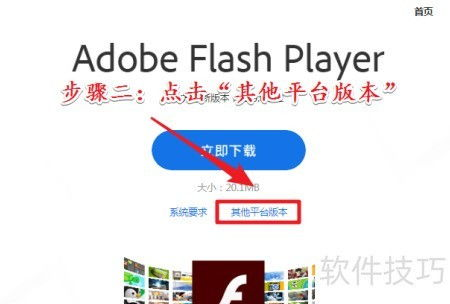 安全下载与平台选择指南