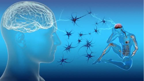 科学视角：缓解压力手机游戏如何影响大脑