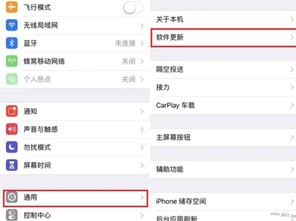 iOS系统手机版下载注意事项