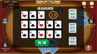 十三水游戏简介与特色