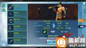 角色培养与技能搭配