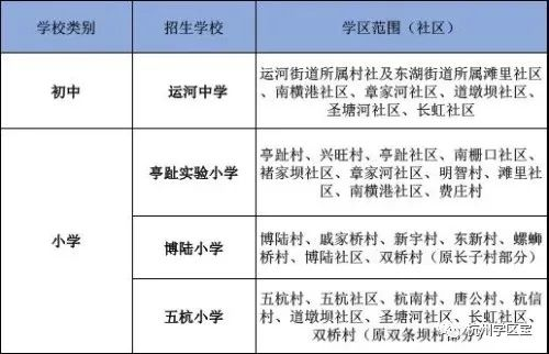 区域差异版本与文化适应性调整