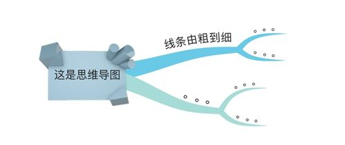 对学业与工作效率的影响