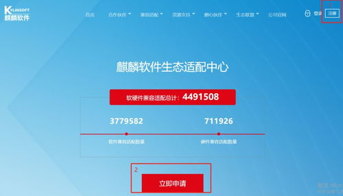 设备兼容性要求与性能优化