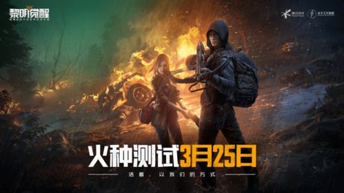 3. 本土化创新：黎明觉醒：生机