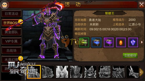 手机奇迹sf游戏概述与背景