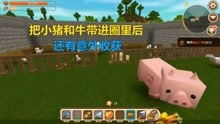 热门迷你手机游戏类型与代表作品