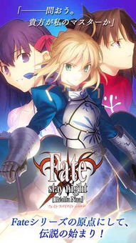 fatestaynight手机游戏概述与历史背景