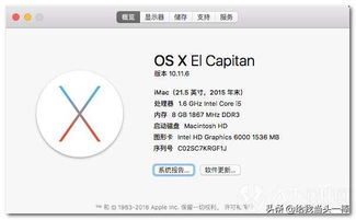 设备兼容性与性能优化