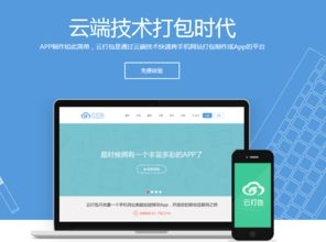 主流平台及APP选择