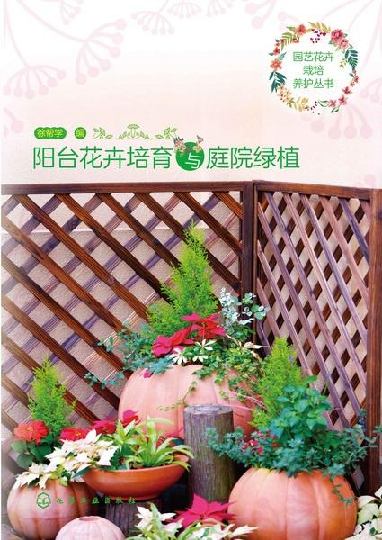 角色培养与花卉收集攻略