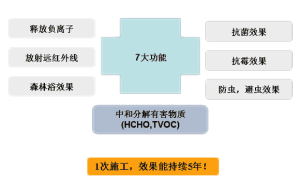 核心功能与特色