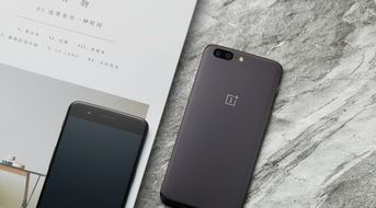 黑鲨鱼游戏手机的品牌定位与市场表现