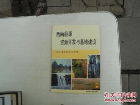 资源获取与基地建设策略