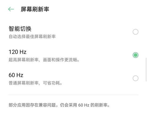 屏幕显示:游戏视觉体验的关键因素