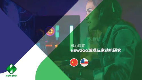 玩家群体与动机探究