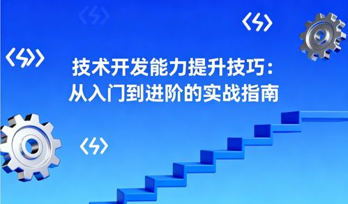 技术开发与编程实现