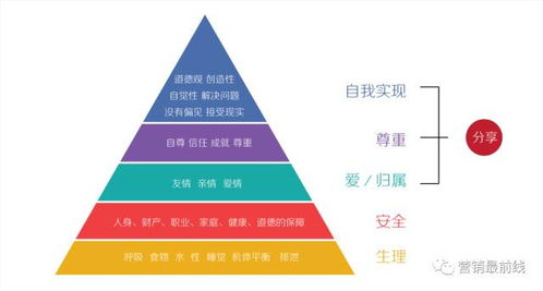 玩家心理与社交机制