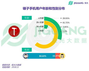 市场表现与玩家群体分析