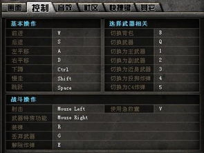 游戏内设置与防弹窗应用的选择