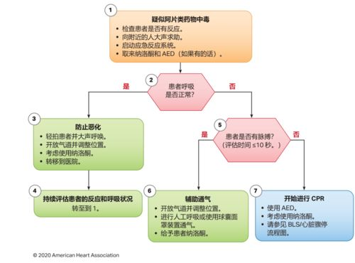 下载安装流程指南