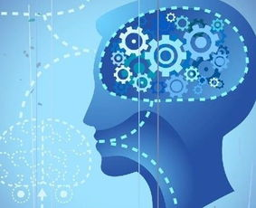 科学原理:手机游戏如何重塑大脑结构
