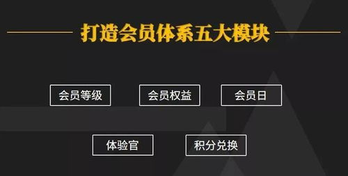 会员体系与专属特权