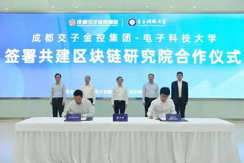 大连手机游戏开发技术实力与创新实践
