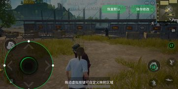 手机吃鸡游戏的兴起与市场现状
