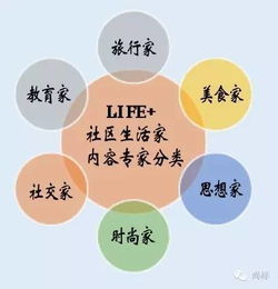 用户群体与社区互动