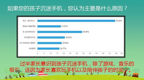 检查并管理您的移动数据使用情况
