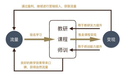 头部工作室的成功模式分析