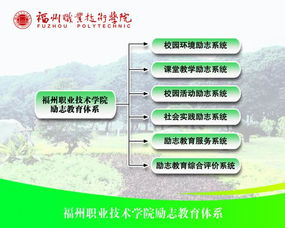 角色培养与技能体系