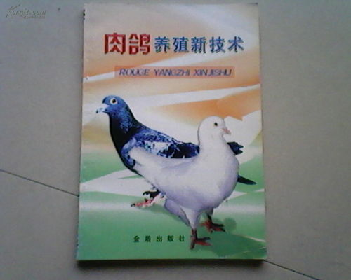 热门手机肉鸽游戏推荐与市场分析