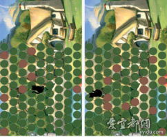 关于猫的手机游戏概述与市场现状