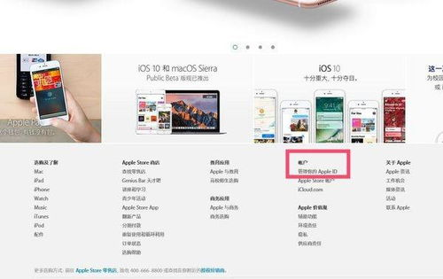 Apple ID设置与账号管理
