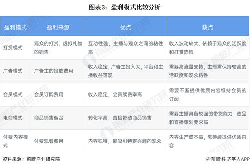 多元化商业模式与盈利策略